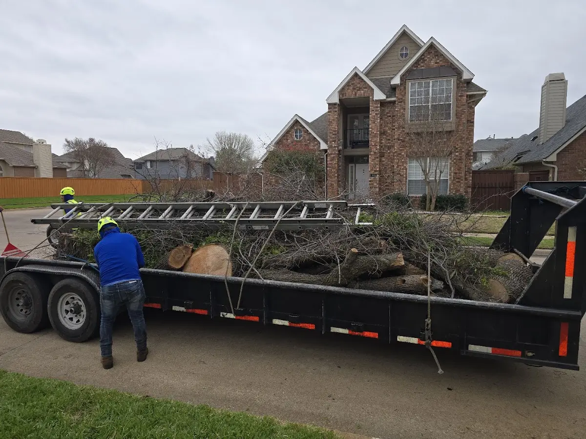 Expert Tree Fertilization with proper safety equipment in Apalachicola